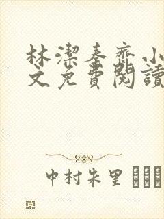 林洁秦齐小说全文免费阅读最新章节