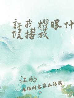 许我耀眼什么时候播放