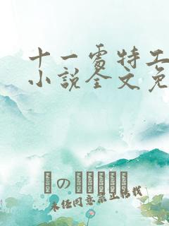 十一处特工皇妃小说全文免费阅读