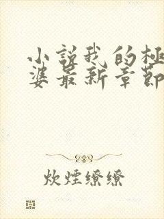 小说我的极品老婆最新章节