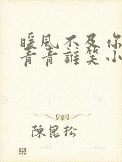 暖风不及你情深青青谁笑小说在线阅读全文