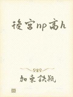 后宫np高h