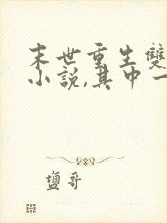 末世重生双男主小说,其中一个男主是丧尸王