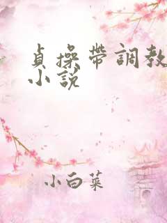 贞操带调教女主小说