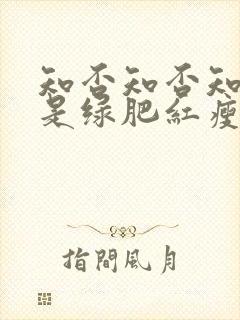 知否知否知否应是绿肥红瘦在线免费观看