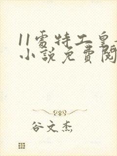 11处特工皇妃小说免费阅读