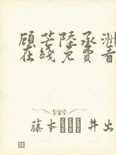 顾芒陆承洲小说在线免费看