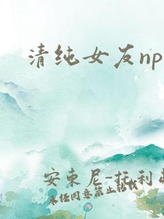 清纯女友nph