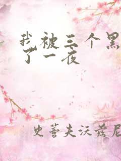 我被三个黑人操了一夜