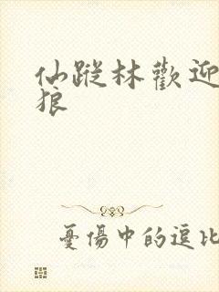 仙踪林欢迎你老狼