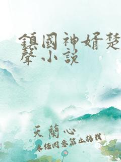 镇国神婿楚尘有声小说