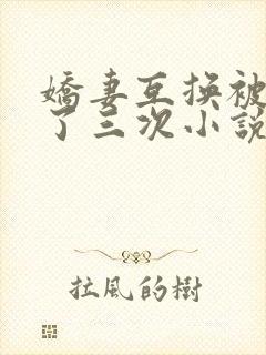 娇妻互换被高潮了三次小说