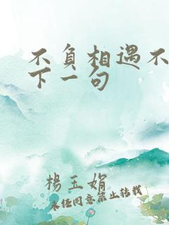 不负相遇不负卿下一句