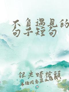 不负遇见的唯美句子短句