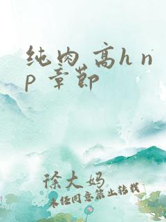 纯肉 高h np 章节