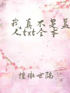 我真不是盖世高人txt全本