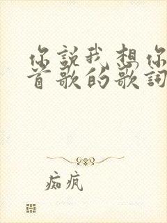 你说我想你是哪首歌的歌词