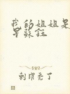 我的姐姐是大明星苏钰