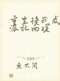 重生后我成了反派北向暖