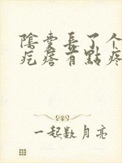 阴囊长了个小硬疙瘩有点疼