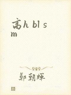 高h bl sm