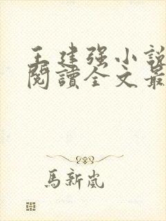 王建强小说免费阅读全文最新章节