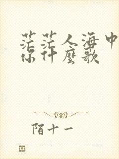 茫茫人海中遇见你什么歌