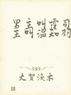 男主叫霍司砚女主叫温知羽的小说