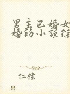 男主已婚女主未婚的小说推荐