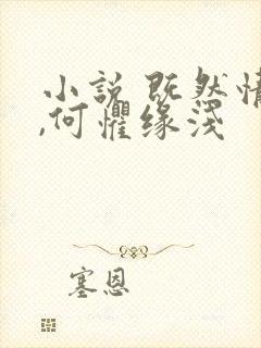 小说 既然情深,何惧缘浅