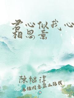 君心似我心不负相思意