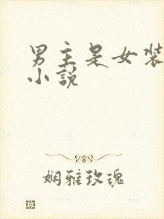 男主是女装大佬小说