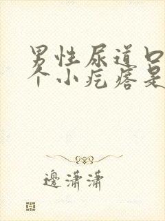 男性尿道口长一个小疙瘩是怎么回事