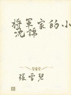 将军家的小娘子 沈锦