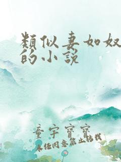 类似妻如奴琳涛的小说