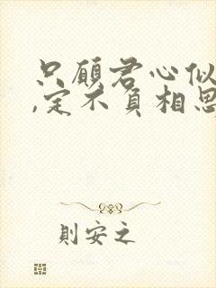 只愿君心似我心,定不负相思意是什么意思