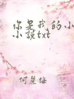 你是我的小确幸小说txt