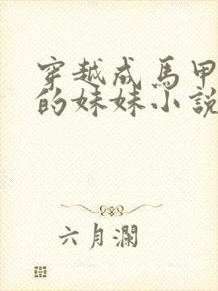 穿越成马甲大佬的妹妹小说免费