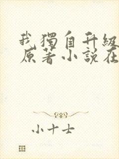 我独自升级小说原著小说在哪看