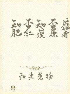 知否知否应是绿肥红瘦原著小说在哪里看