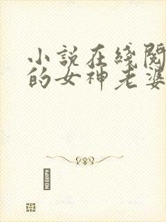 小说在线阅读我的女神老婆