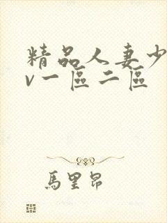 精品人妻少妇av一区二区