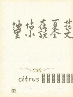 他站在夏花绚烂里小说全文阅读