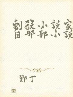 刺杀小说家改编自哪部小说