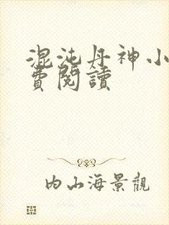 混沌丹神小说免费阅读