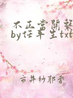 不正当关系小说by任平生txt