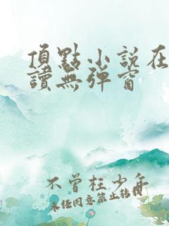 顶点小说在线阅读无弹窗