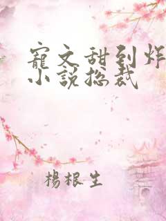 宠文甜到炸无虐小说总裁