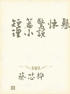 短篇惊悚悬疑推理小说