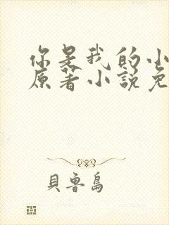 你是我的小确幸原著小说免费阅读